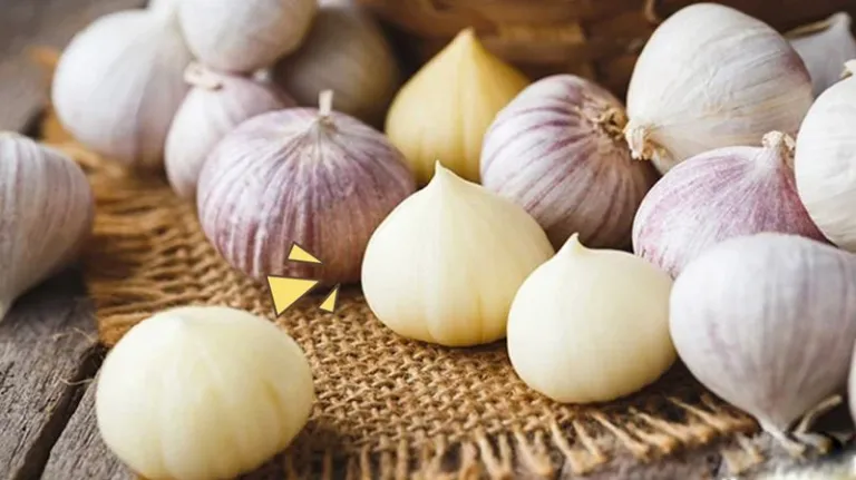 Beberapa bawang putih tunggal berbentuk bulat mulus berjajar di antara umbi bawang putih biasa yang bersiung banyak, di atas anyaman.